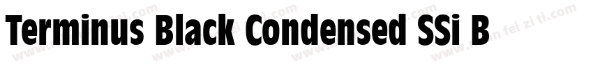 Terminus Black Condensed SSi Black字体转换